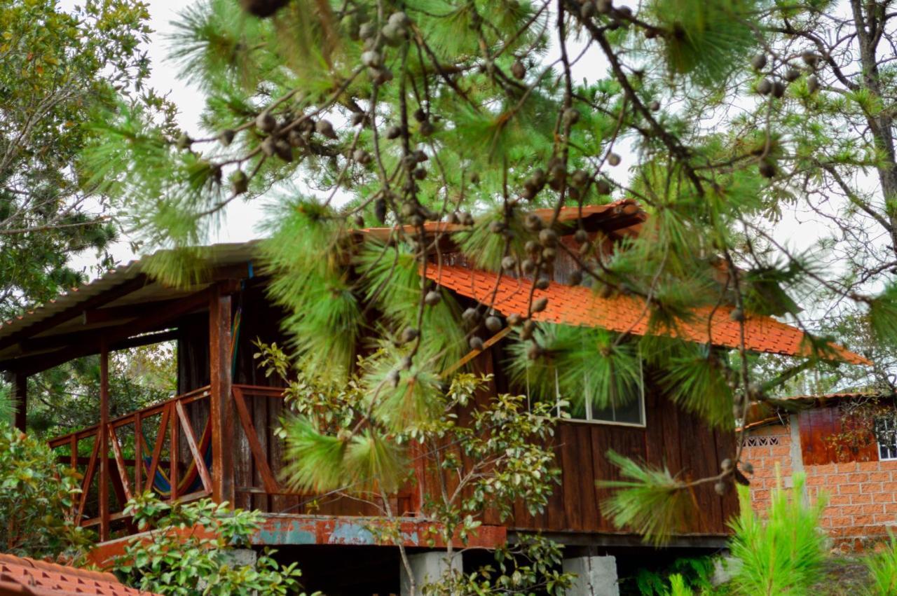 Hotel Y Restaurante Las Margaritas Perquín Dış mekan fotoğraf